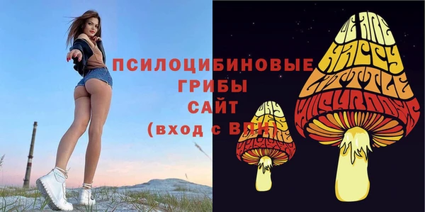 a pvp Осинники
