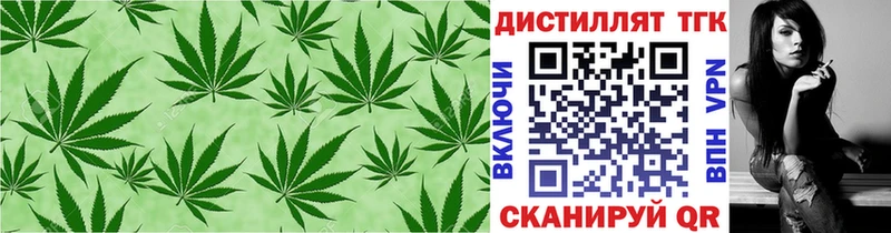 закладка  Сосновый Бор  мега ONION  Дистиллят ТГК жижа 