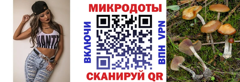 дарк нет какой сайт  Сосновый Бор  Галлюциногенные грибы Psilocybine cubensis 
